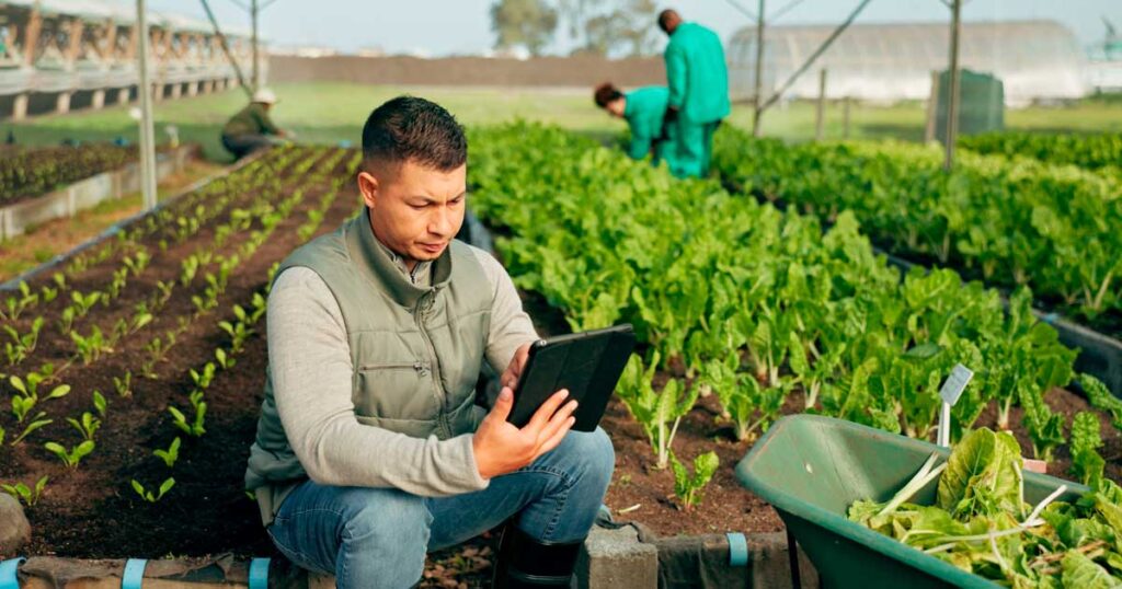 Mesmo sem possuir empresa aberta (CNPJ), o produtor rural precisa prestar contas corretamente quando ultrapassa os limites obrigatórios de declaração.